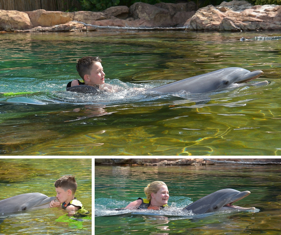 Discovery Cove